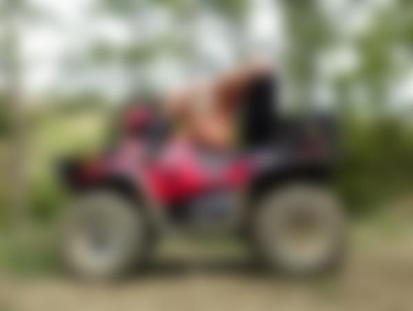 Image #8 from the gallery Hana quad bike