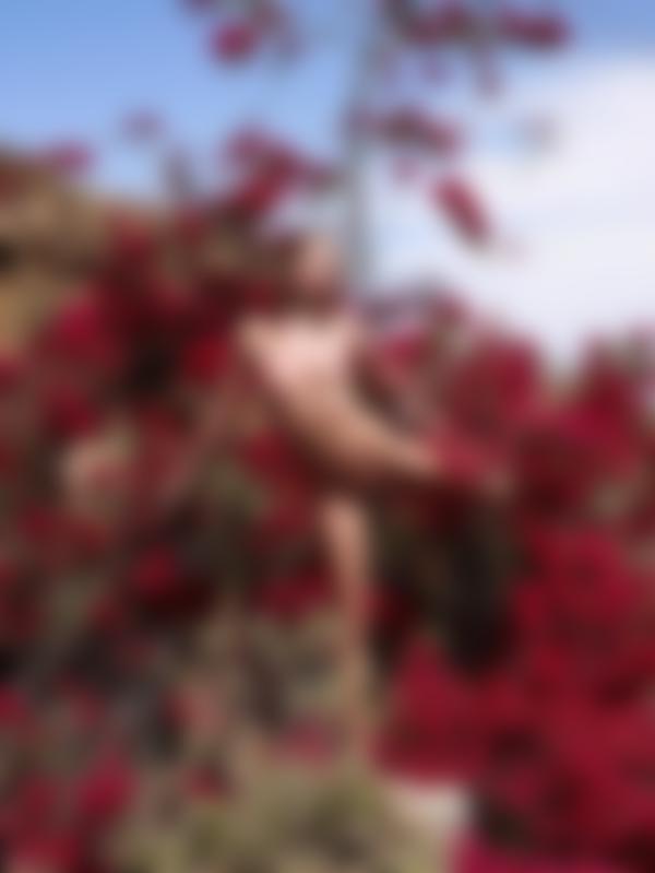 Image #10 from the gallery Yanna flower power